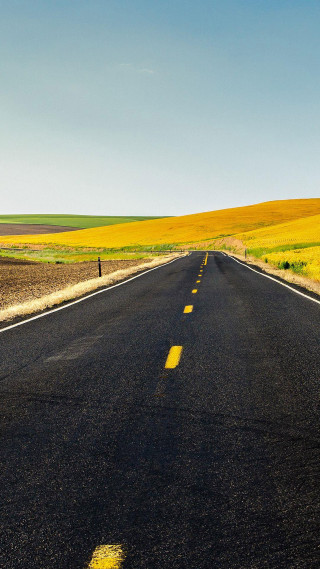 Long road yellow line field - free landscape wallpaper