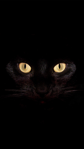 Black cat yellow eyes dark 6 - a black cat free wallpaper for mobile