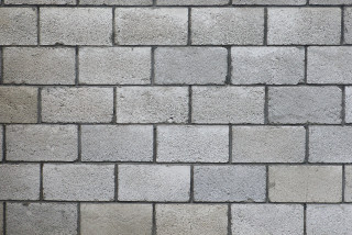 Brick wall white gray cat - cat free wallpaper