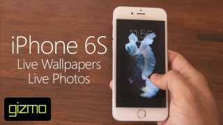 Iphone 6s live wallpapers live - a hand holding free wallpaper