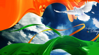 White dove flying green orange - hd wallpaper free wallpaper