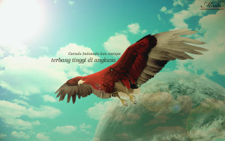 Red white bird flying globe - bird free wallpaper for desktop