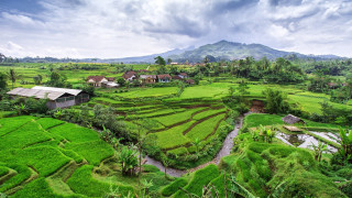 Lush green field river houses - a lush green field free wallpaper