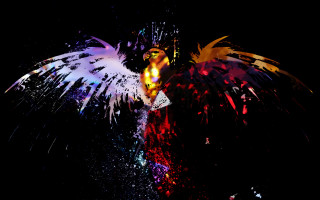 Colorful bird wings dark sky - the dark sky free wallpaper