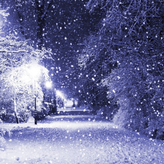 Snowy night streetlight trees falling - free winter wallpaper for tablet