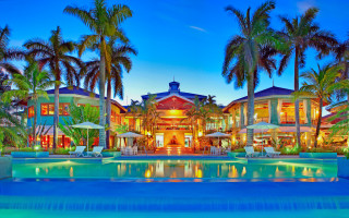 Large house pool palm trees - neofauvism free wallpaper