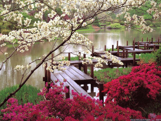 Wooden dock flowers trees background - free spring wallpaper