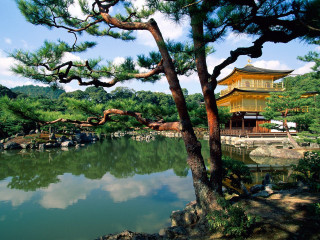 Pond pagoda trees background foreground - a pond free wallpaper