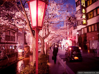 Street lamp post cars night - japan aya goda free wallpaper