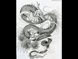 Dragon tattoo design paper dragon - a sheet of paper free wallpaper for desktop