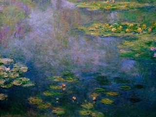 Water lilies flowers pond sky - claude monet free wallpaper
