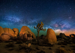 Night sky stars tree rocks - a night sky free wallpaper