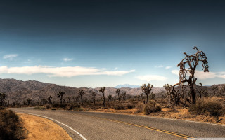 Road cactus mountains clouds sky - carl hoppe free wallpaper for desktop