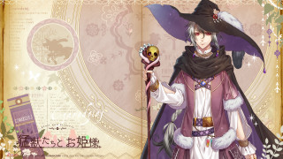 Woman costume crystal ball wand - a purple hat free wallpaper for desktop