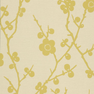 Yellow white wallpaper flower pattern - free spring wallpaper for tablet