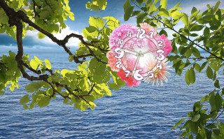 Clock tree water sky background - chiho aoshima free wallpaper