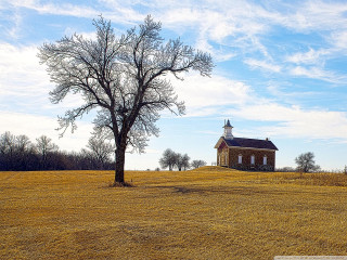 Lone tree field church sunny - a church in the background free wallpaper