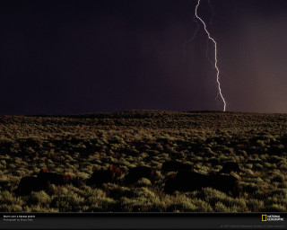 Lightning strike field grass bushes - dramatic lightning free wallpaper