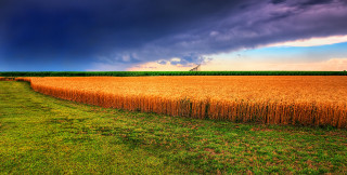 Field grass fence sky clouds - in the middle of it free wallpaper