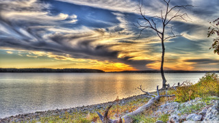 Tree grass water sky clouds - a body of water free wallpaper for desktop