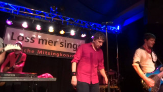 Guitarists on stage lossmer sing - in the background free wallpaper