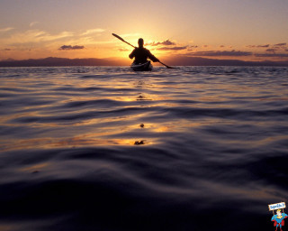 Paddle board sunset rider water - a person riding free wallpaper