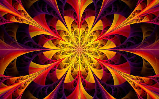 Colorful flower fractal psychedelic bat - psychedelic art free wallpaper