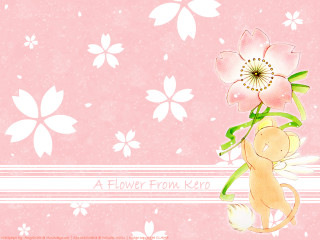 Pink flower teddy bear kyoto - the bottom of the picture free wallpaper