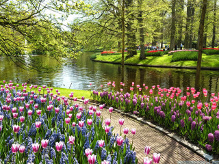 Park flowers river people walking - free spring wallpaper
