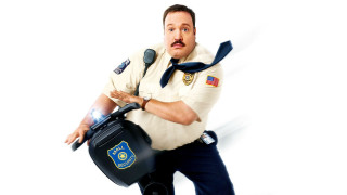 Police officer luggage microphone mustache - verdadism free wallpaper