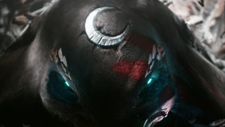 Black animal green eyes feathers - nose free wallpaper