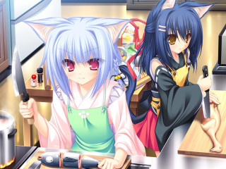 Anime girls cooking kitchen cat 2 - the other hand free wallpaper for desktop