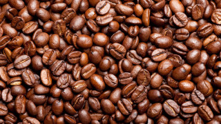 Coffee beans brown background brown - ceferí olivé free wallpaper