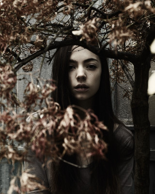 Woman long hair tree leaves - leesha hannigan free wallpaper for mobile