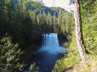 Waterfall forest trees river water - the fall free wallpaper