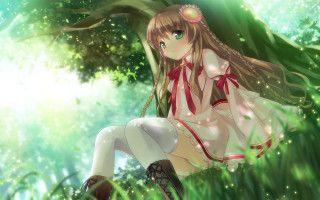Girl sitting grass legs crossed - an anime drawing free wallpaper for desktop