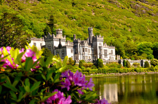 Castle lake green hillside flowers - dorothea warren ohara free wallpaper