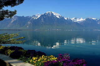 Lake mountains flowers blue sky 2 - synthetism free wallpaper for desktop
