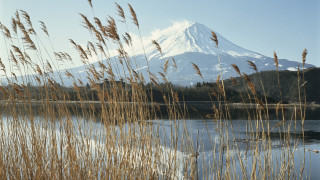 Mountain lake reeds background foreground - awataguchi takamitsu free wallpaper