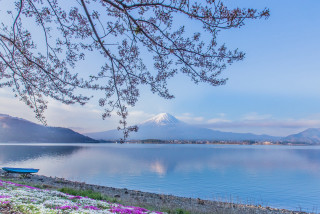 Boat shore lake mountain flowers - the shore of a lake free wallpaper