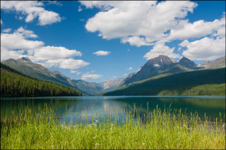 Lake mountains grass blue sky - a few white flower free wallpaper for desktop