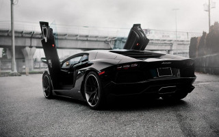 Black sports car bridge person - a bridge and a bridge in the background free wallpaper