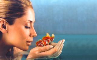 Woman surprised food hand looking - a piece of food free wallpaper