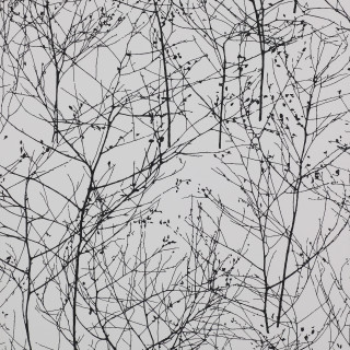 Black white branches no leaves - the distance free wallpaper for tablet