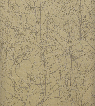 Bare tree bamboo forest honeycomb - free forest wallpaper for tablet