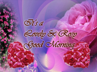 Pink rose purple background lovely - anne rigney free wallpaper