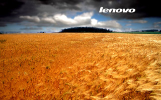 Wheat field cloudy sky lenovo 2 - a field of wheat under a cloudy sky free wallpaper