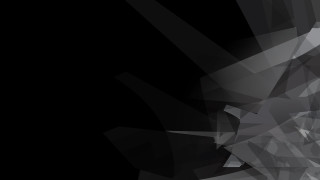 Black white cat black background - buckminster fuller free wallpaper