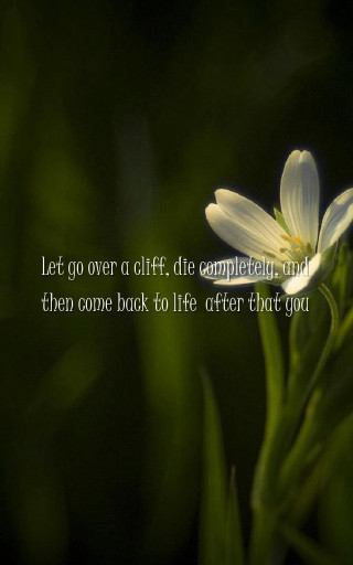 Flower quote grass dark background - a flower free wallpaper for mobile