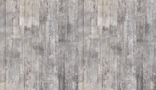 Grey wall wooden plank cat - cat free wallpaper
